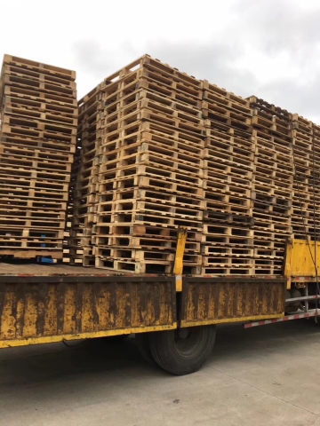 ����ľ����