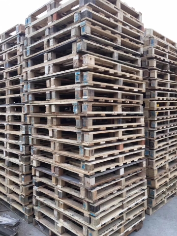 ����ľ����