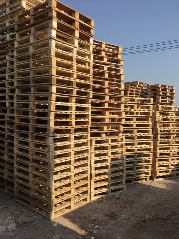 ����ľ����