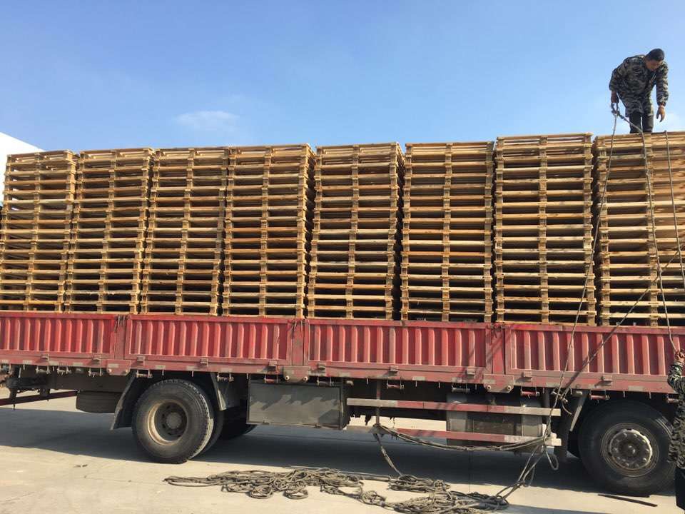 ����ľ����