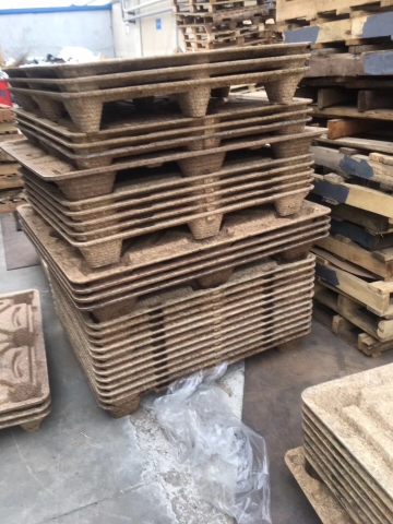 ����ľ����