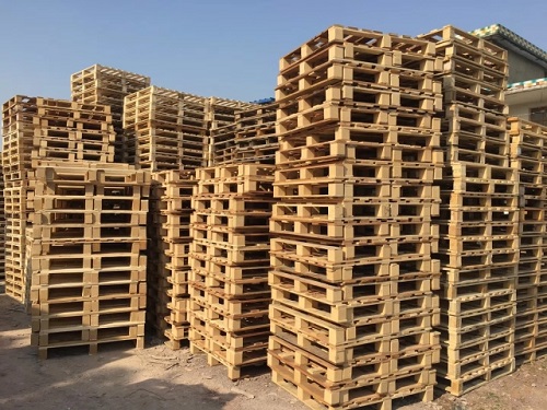 ����ľ����