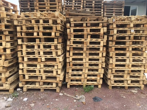 ����ľ����